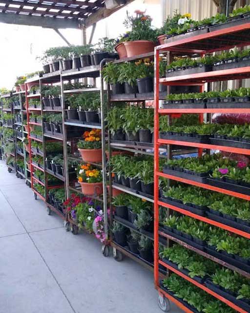 Valley-Color-Growers-Product1-512x640-web